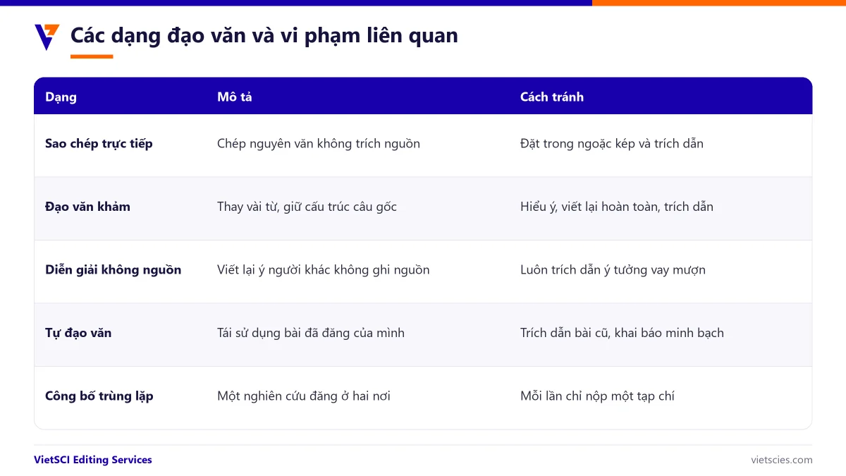 Các dạng đạo văn phổ biến trong nghiên cứu