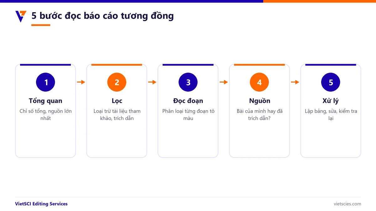 Năm bước đọc báo cáo tương đồng